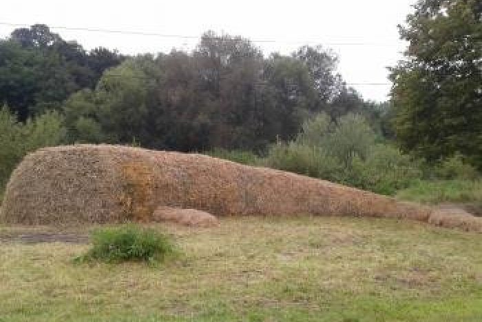 Ilustračný obrázok k článku V Slatinke vyrástol symbol protestu: Veľryba zo slamenných balíkov FOTO