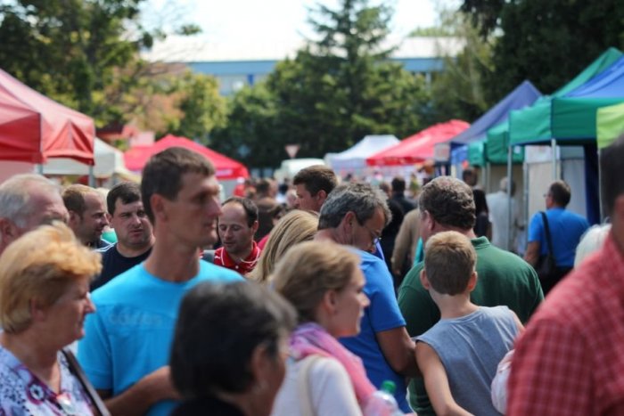 Ilustračný obrázok k článku Kontroly predajcov na Agrokomplexe: Rozdali pokuty za viac ako 12-tisíc eur!