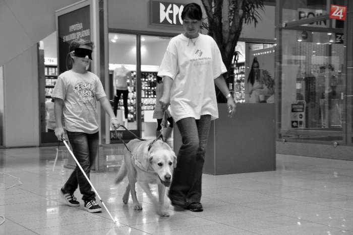 Ilustračný obrázok k článku Najväčšia organizácia nevidiacich a slabozrakých na Slovensku oslavuje 25. výročie založenia