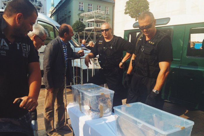 Ilustračný obrázok k článku Bratislavčania zažili akčný Deň colníkov. Zbrane, fejky aj preparované zvieratá