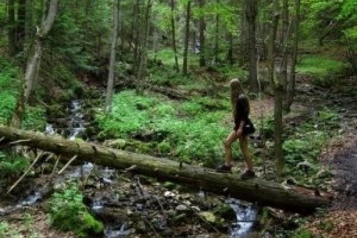 Ilustračný obrázok k článku Ľudia sa rozhodli vyhrnúť rukávy: Studničky v Slovenskom raji prejdú obnovou