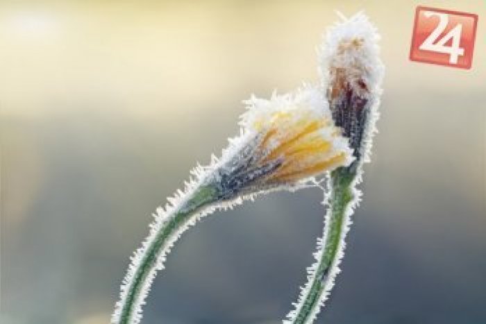 Ilustračný obrázok k článku Na letné teplá zabudnite: Na Prievidzu udrie mráz, meteorológovia dokonca vydali výstrahu!