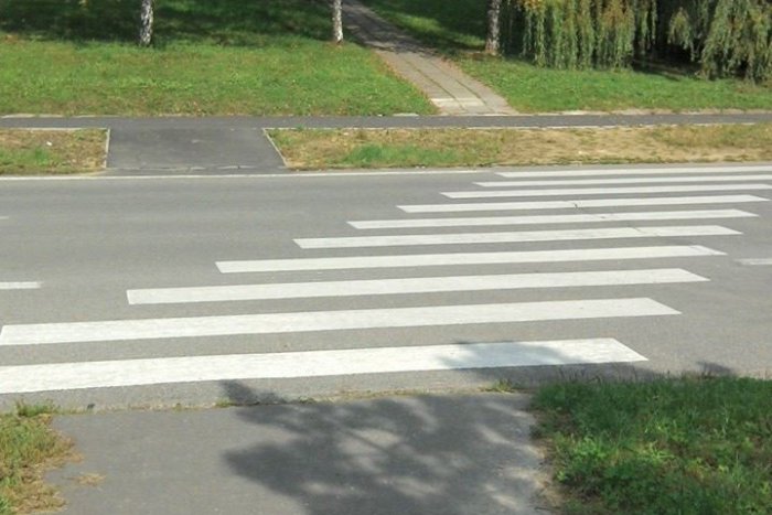 Ilustračný obrázok k článku Vyzerá to naozaj komicky: Zebra na zvolenskom sídlisku vyvoláva úsmev na tvárach obyvateľov