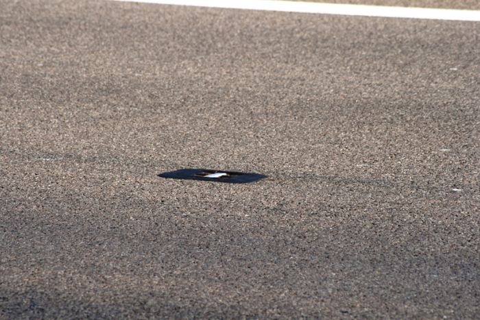 Ilustračný obrázok k článku Novinka na našej R1: Do deliacej čiary osadia tisíce reflexných gombíkov!