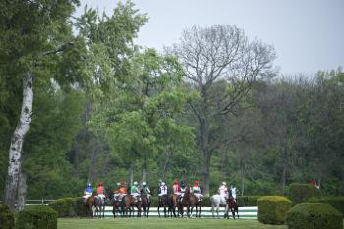 Ilustračný obrázok k článku Na Závodisku v Petržalke sa chystá Dostihový deň. Venovaný aj hendikepovaným deťom