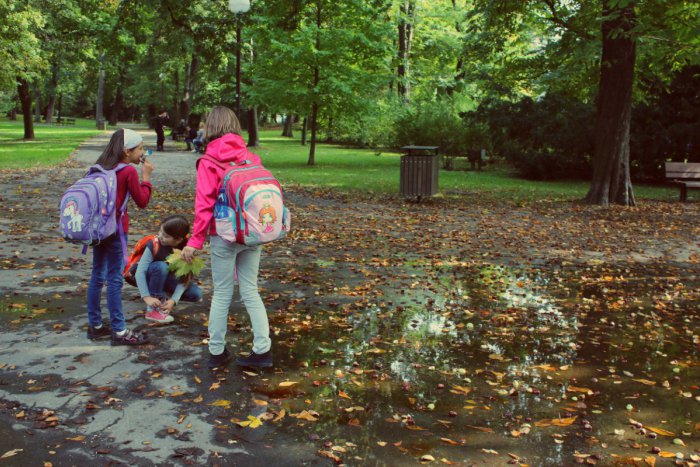 Ilustračný obrázok k článku 5 znakov, že do Bratislavy zavítala jeseň