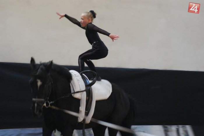 Ilustračný obrázok k článku Pod Tatrami vyrastajú šikovné krasojazdkyne: Priniesli si kompletnú zbierku medailí i titul