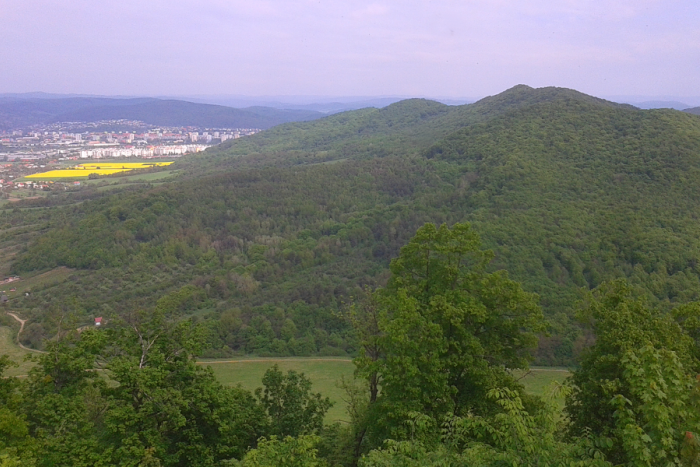 Ilustračný obrázok k článku Krádež dreva z Humenského Sokola: Polícia prichytila obvinených priamo pri čine!