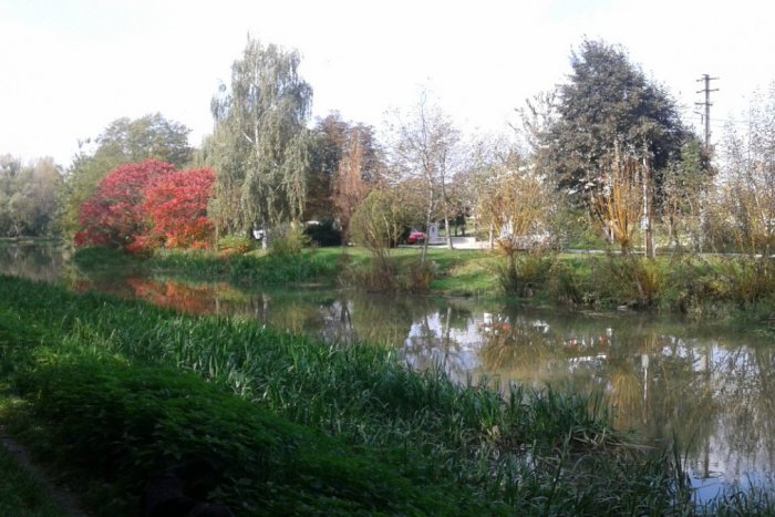 Ilustračný obrázok k článku Magická  farebná jeseň: Inšpirácia pre básnikov