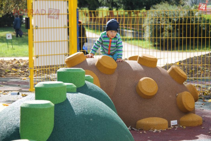 Ilustračný obrázok k článku Vo vrakunskom lesoparku postupne vzniká voľnočasová zóna