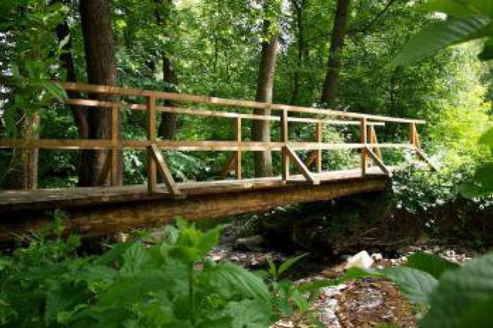 Ilustračný obrázok k článku Potešenie pre milovníkov prírody: Nový náučný chodník neďaleko Zvolena povedie až na kopec Demian