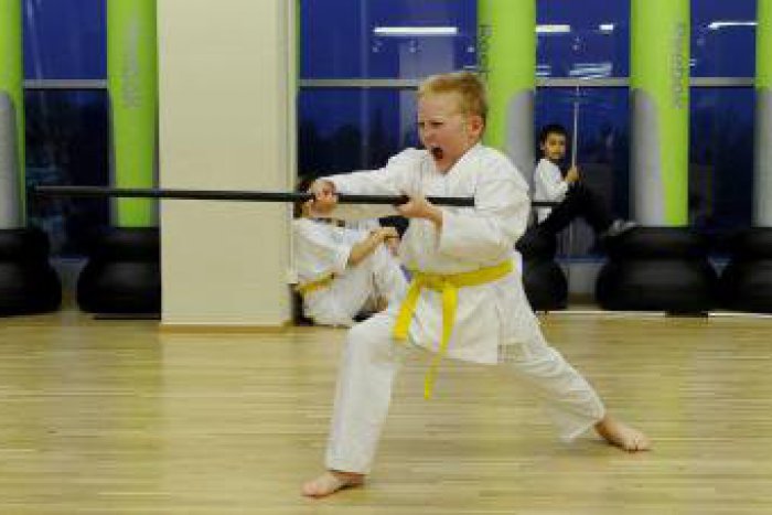 Ilustračný obrázok k článku Malí žiarski karatisti to natreli súperom v Poľsku: Pozrite, koľko medailí prieniesli!