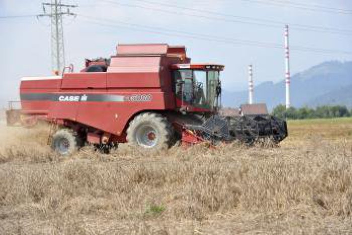 Ilustračný obrázok k článku Kombajnista čelil otrasnému pohľadu: V kukuričnom poli našiel mŕtvolu muža