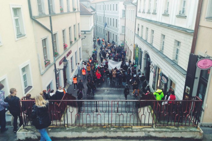 Ilustračný obrázok k článku "Zviera nie je vec!" kričali aktivisti v uliciach Starého Mesta. Chcú lepší zákon na ich ochranu