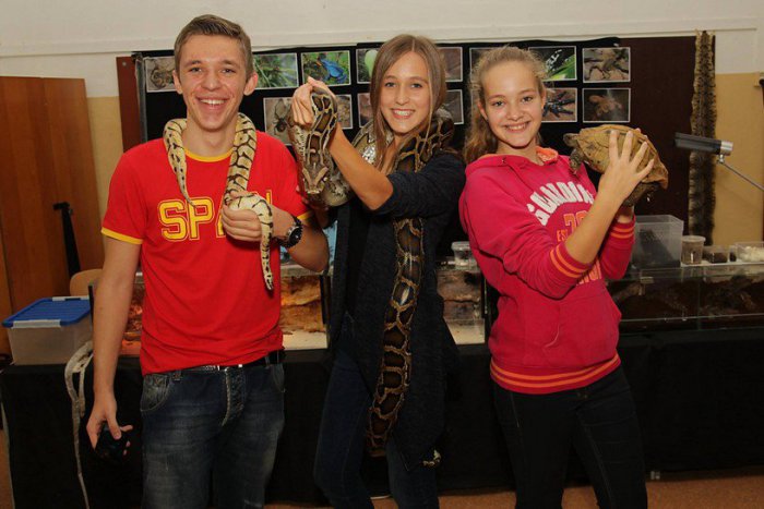Ilustračný obrázok k článku Exotika v základnej škole: Aha, ako deti pózovali s pytónom!