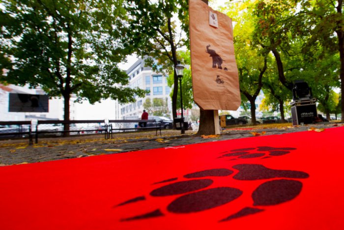 Ilustračný obrázok k článku Pre tých, ktorým nie je ľahostajné životné prostredie: Štartuje filmový festival Ekotopfilm