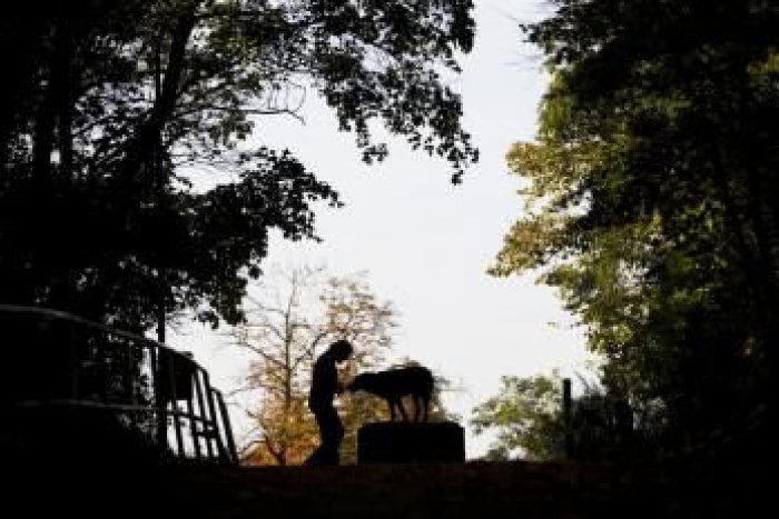 Ilustračný obrázok k článku V Bratislave zasadá Európska environmentálna agentúra