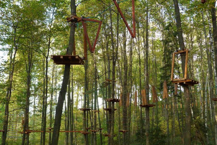 Ilustračný obrázok k článku Nový lanový park privíta prvých návštevníkov: Opäť budeme môcť liezť po stromoch