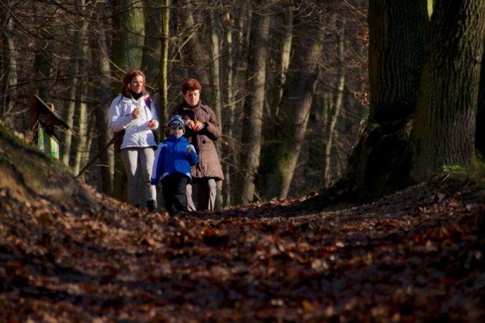 Ilustračný obrázok k článku Najatraktívnejším miestom je Železná studnička. Nákupné centrá predbehli ZOO aj Bratislavský hrad, ukázal prieskum