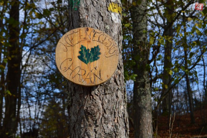 Ilustračný obrázok k článku Školáčka Jessica upozoňuje na odpadky v prírode originálnymi tabuľkami: Nominácia do prestížnej súťaže ju prekvapila!