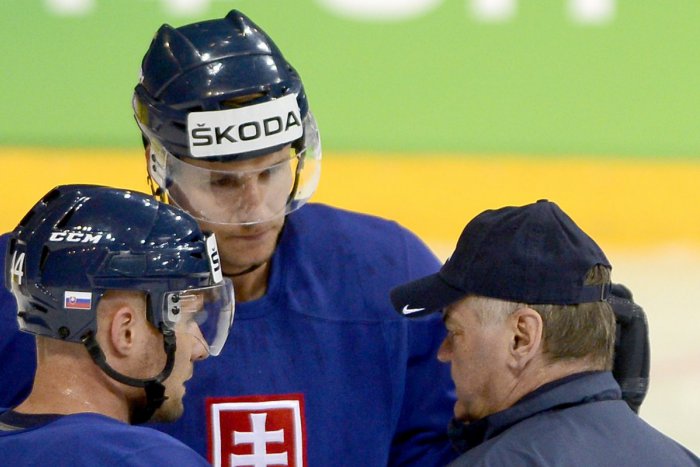 Ilustračný obrázok k článku HK Nitra vystuží obranu: Pod Zobor prichádza Branislav Mezei!