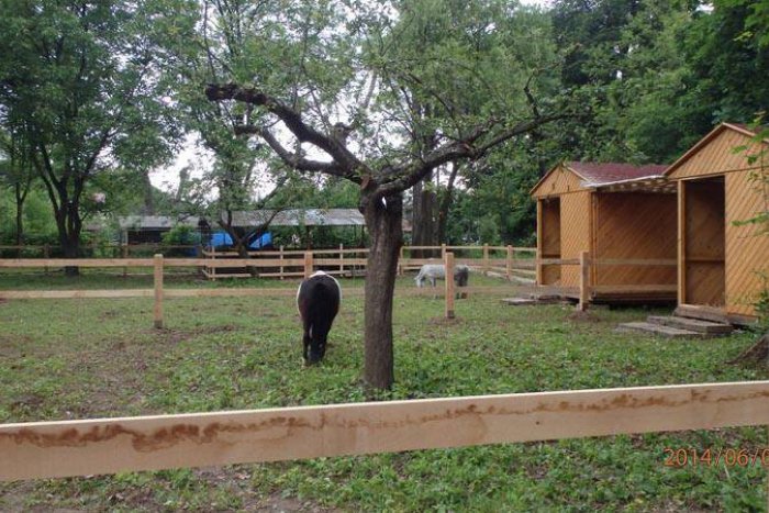 Ilustračný obrázok k článku Ekopark v Prešove je ohrozený. Na jeho prevádzku chýbajú peniaze