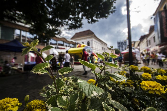 Ilustračný obrázok k článku Začínate premýšľať, koho pôjdete voliť? Pozorne si preštudujte volebný program Pavla Gašpera