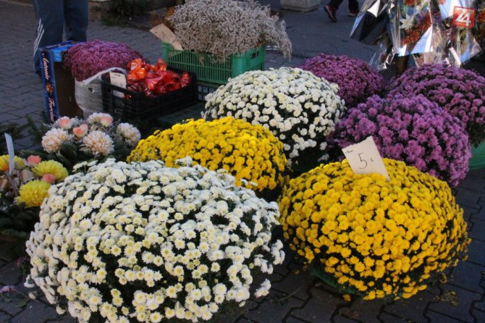 Ilustračný obrázok k článku Dušičkový zhon v Trnave: Nákupy si nechávame na poslednú chvíľu