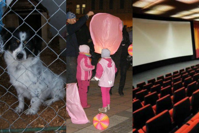 Ilustračný obrázok k článku TOP 7 udalostí týždňa: Tuláčik, lampióny aj digitalizácia