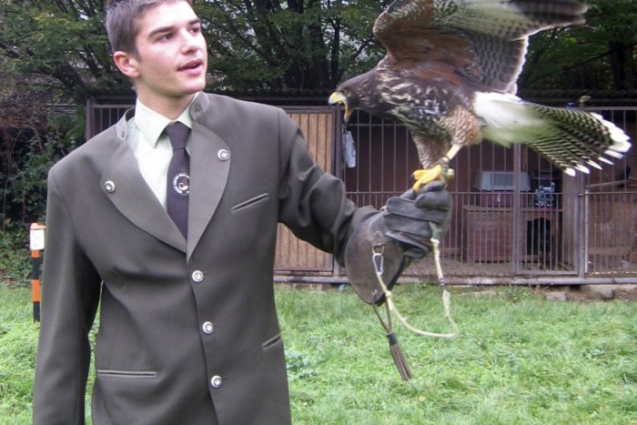 Ilustračný obrázok k článku Parádne zážitky prešovských žiakov v škole: Učia loviť dravých vtákov!