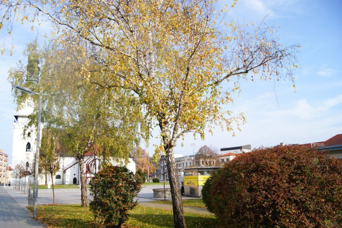 Ilustračný obrázok k článku Tešíte sa na víkend? 9 podujatí vo Zvolene, kam sa oplatí vyraziť!