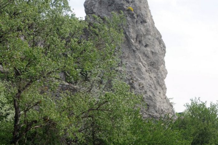 Ilustračný obrázok k článku Obyvatelia Devína budú mať rozhodovanie o starostovi jednoduchšie. Šterbatý stiahol kandidatúru