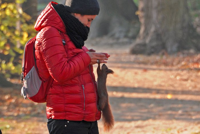 Ilustračný obrázok k článku V Parku Andreja Hlinku môžete využívať internet úplne zadarmo