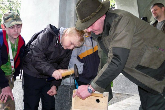 Ilustračný obrázok k článku Pri petržalských školách pribúdajú vtáčie búdky. Pomáhaju chráneným živočíchom a vzdelávajú žiakov