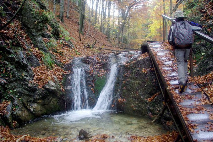 Ilustračný obrázok k článku Bratislavčanom pomáhajú vďaka pobytom v prírode odbúravať stres