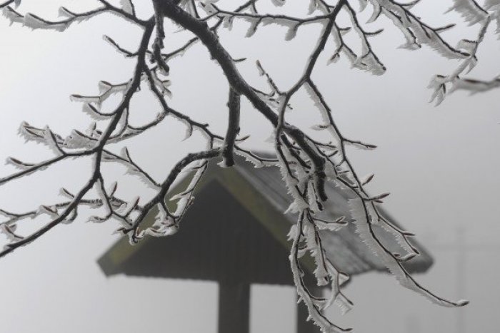 Ilustračný obrázok k článku Hydrometeorológovia: V okrese Prešov sa čaká výskyt poľadovice, ktorá predstavuje potenciálne nebezpečenstvo!