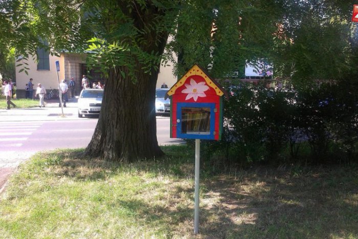 Ilustračný obrázok k článku Moravce budú mať novú knižnú búdku: Na svoje si  prídu aj psy z útulku