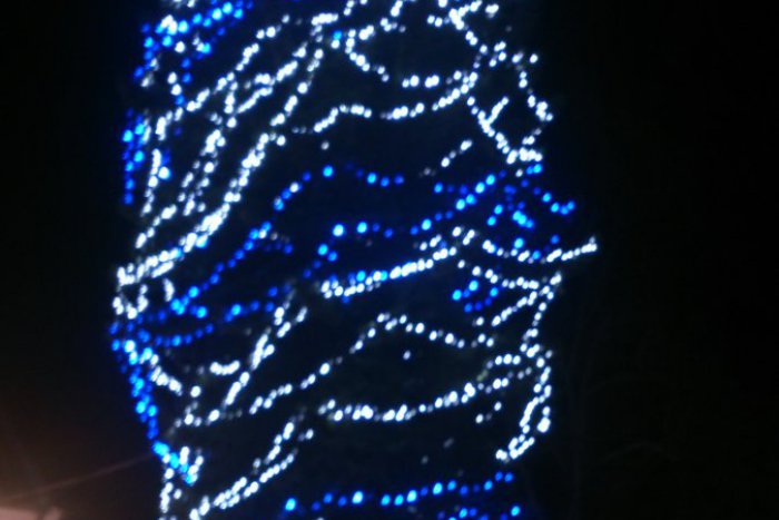 Ilustračný obrázok k článku Unikátny vianočný stromček: Pozrite, kde sa nachádza!