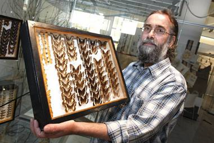 Ilustračný obrázok k článku Hornonitrianske múzeum v Prievidzi bude plné chrobákov: Toto musíte vidieť