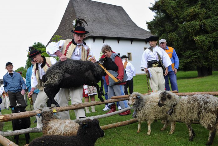 Ilustračný obrázok k článku V Lipt. Lúžnej odštartovala Bačova cesta: relácie ako Farmár hľadá ženu a Farma nás urážajú