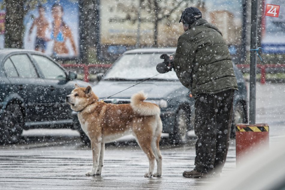 Ilustračný obrázok k článku Pre husté sneženie meškala MHD v niektorých častiach Bratislavy