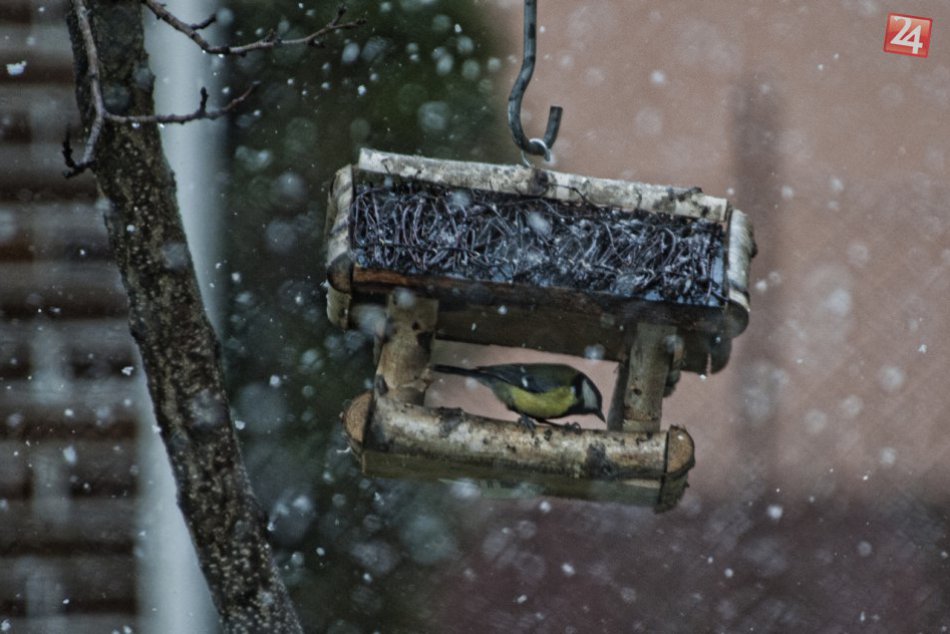 Ilustračný obrázok k článku OBRAZOM: Top 10 fotografií posledných dní v roku. Takto vyzerá hlavné mesto, keď ho pokryje snehová nádielka