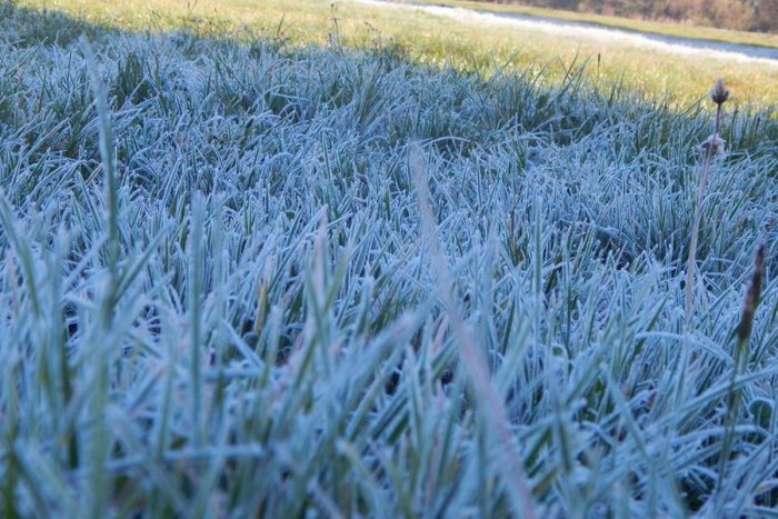 Ilustračný obrázok k článku Meteorológovia varujú: V okrese Malacky v noci očakávajte prízemný mráz