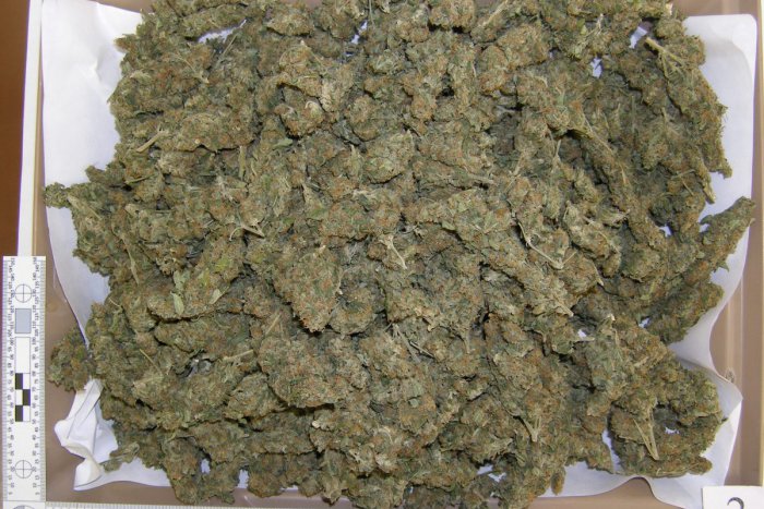 Ilustračný obrázok k článku Každý tretí mladý Slovák vyskúšal marihuanu: Je najpredávanejšou drogou u nás