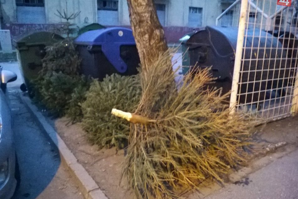 Ilustračný obrázok k článku Sviatočná nálada pominula: Kam s odzdobeným vianočným stromčekom?