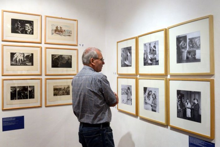 Ilustračný obrázok k článku V galérii Soda je vystáva kvetinových veľkoplošných obrazov