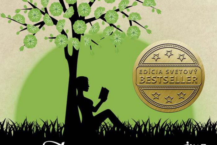 Ilustračný obrázok k článku Tip na knihu: Nová oddychovka o ženách pre ženy je plná emócií