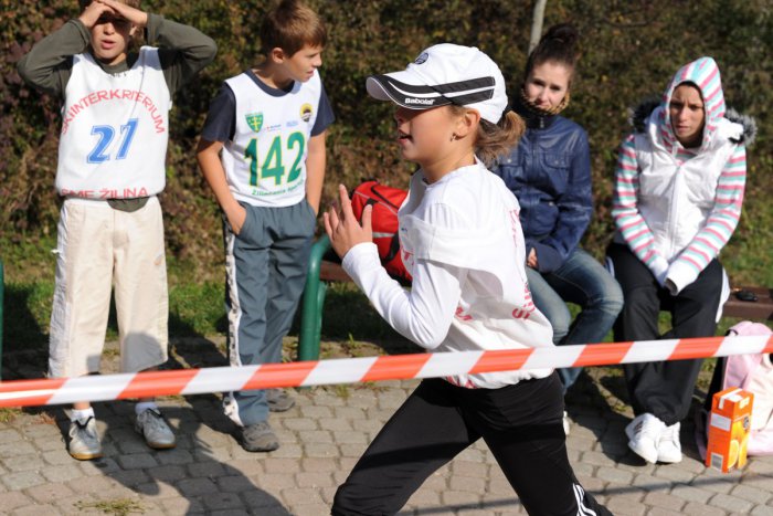 Ilustračný obrázok k článku Karloveský športový klub hľadá nového riaditeľa. Doterajšieho odvolalo novozvolené zastupiteľstvo mestskej časti