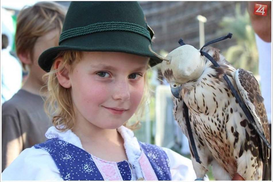 Ilustračný obrázok k článku Sokoliar Tomáš aj tento rok na Nitrianskom hrade: Na TOTO sa môžete tešiť