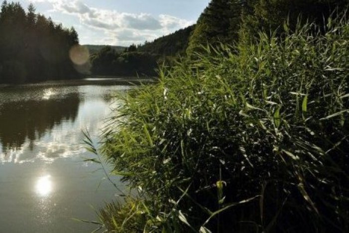 Ilustračný obrázok k článku Vodohospodári začali čistiť Janíkovský kanál: Práce zhltnú 20-tisíc eur